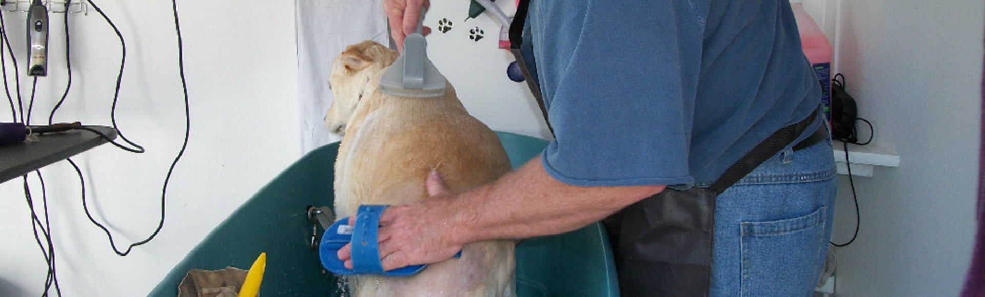 Waggin Tails Mobile Pet Grooming